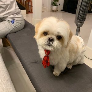 Meet your Posher, Sandy